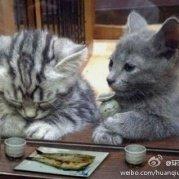 亦雪莫的个人资料头像