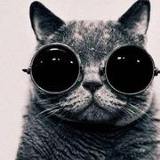 pzsjasonpg的个人资料头像