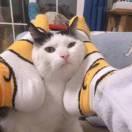 黑金S686的个人资料头像