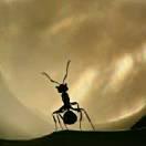 就在的个人资料头像