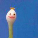 叶二重名了的个人资料头像