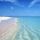 冯军林的个人资料头像