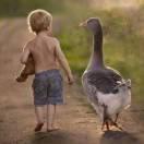 晴天的个人资料头像