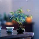 KEYS君的个人资料头像