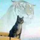 huwem的个人资料头像