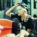 蔚爱学习的个人资料头像