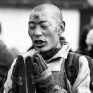 小草在掘金88461的个人资料头像