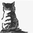 zory的个人资料头像