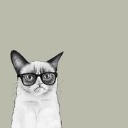 eachen6的个人资料头像