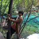 凤就是我的个人资料头像