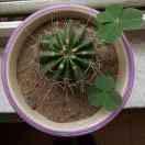 Gorge不想说话的个人资料头像