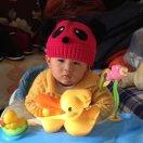 神犬的个人资料头像