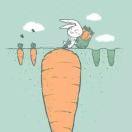 YuWang的个人资料头像