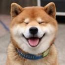 十一同志88827的个人资料头像