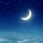 willzhang88846的个人资料头像