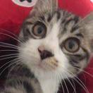 爱学习88949的个人资料头像