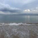 严张扬的个人资料头像