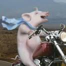 Yahoo同志的个人资料头像