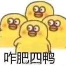 冷月枫叶的个人资料头像