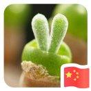 一瞬间的永恒萤火的个人资料头像