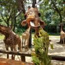 Dean掂的个人资料头像