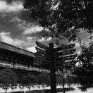 回零的个人资料头像