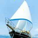 gw的个人资料头像