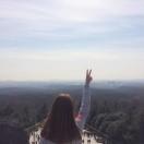 虎打武松的个人资料头像