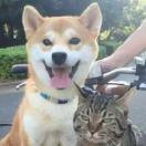 江左煤狼的个人资料头像