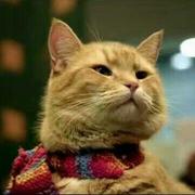 impingo的个人资料头像