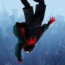 CaptainT的个人资料头像