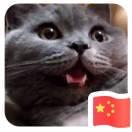 佛性修仙的个人资料头像
