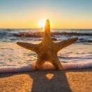 Listen爱学习89311的个人资料头像