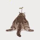 磨人的小妖精的个人资料头像