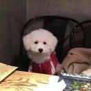 努力是种态度的个人资料头像