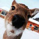 Vincenzo不想说话89365的个人资料头像