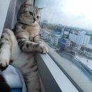 酱89381的个人资料头像