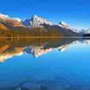 刘的个人资料头像