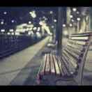 周天雨的个人资料头像