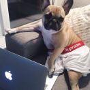 澎昕的个人资料头像