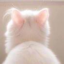 Windrunner爱学习的个人资料头像