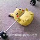 小火车的个人资料头像