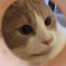 爱学习89546的个人资料头像