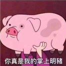 CykaBlyat的个人资料头像