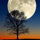 徐某某君89592的个人资料头像