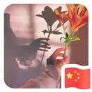 多喝热水爱学习89658的个人资料头像