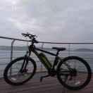 Crown冠的个人资料头像