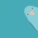 bszh的个人资料头像