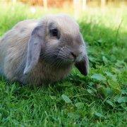 荟园五块八的个人资料头像