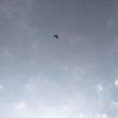 追风筝的人同志的个人资料头像